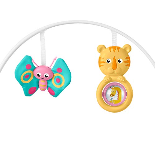 Fisher-Price Infant-to-Toddler Rocker, 3.08 kg, GNV70