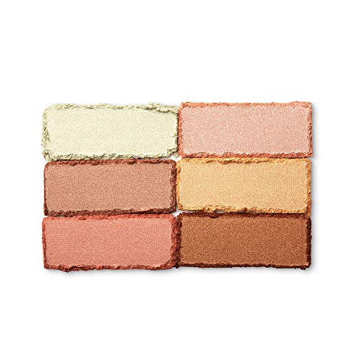 Born to glow highlighting palette.
