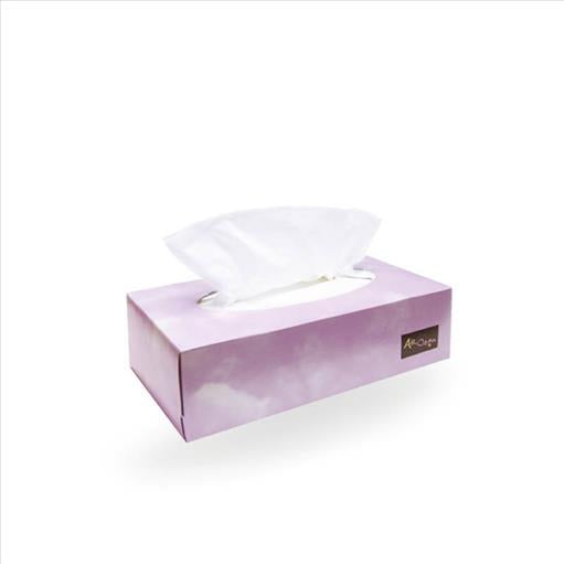 AIR CLEAN FACIAL TISSUES 100 2-PLY PACK